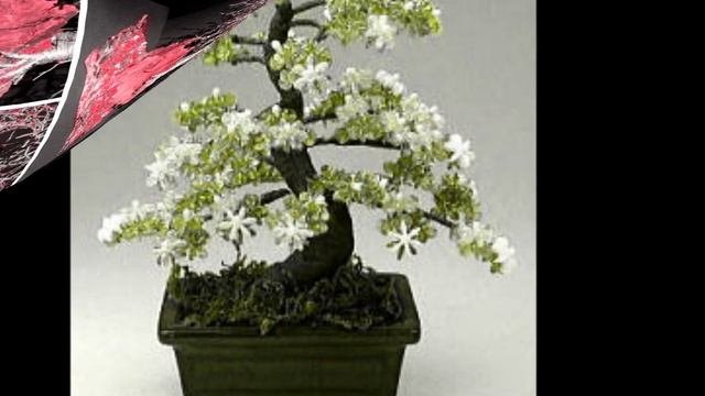 Деревья и цветы из бисера. Сказка.