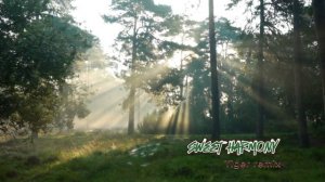 Sweet Harmony_Red Tiger remix