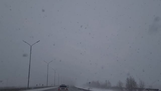 Мы потрясены!/Хатико из Осетии продолжает ждать своего хозяина на трассе смотреть онлайн