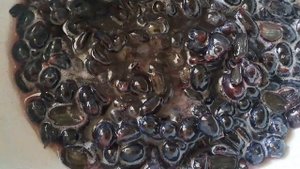 Варенье из винограда кишмиш #вареньеназиму #виноград #вареньерецепт #казакшарецепт