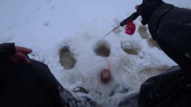 Жор окуня на Рыбинском водохранилище!!!