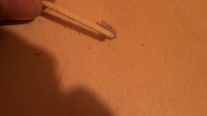 Карпоед (карповая вошь) Или кто же погрыз мою рыбу. Видео 4К