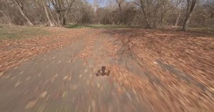 FPV Тамбукан. GoPro6+LUT