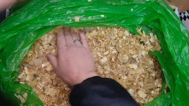 Долгожданные пионы от Ворошиловой Анны Борисовны. Распакуем посылочку ?