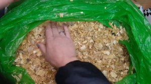 Долгожданные пионы от Ворошиловой Анны Борисовны. Распакуем посылочку ?