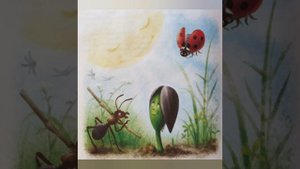 "Подсолнух" познавательная сказка.