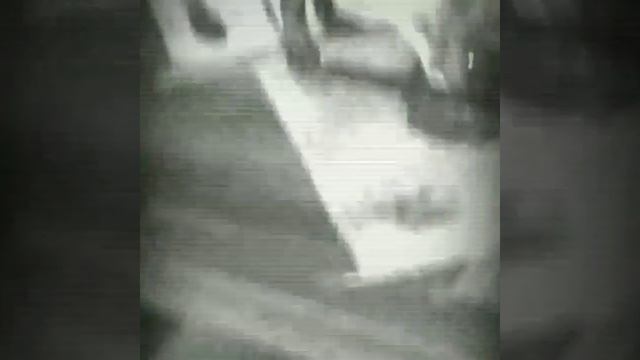 Алиса обследует миски кошек смотреть онлайн