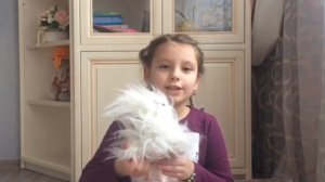 Как правильно ухаживать за собаками//Мое первое видео!