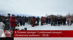 Соревнования по рыбалке в Пучеже