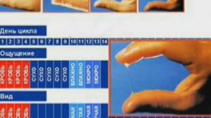 Овуляция. Признаки овуляциї.