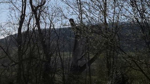 Неожиданно... И тут сразу лето!)) смотреть онлайн