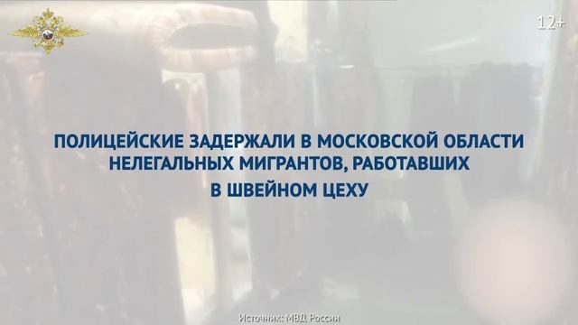 Выпуск 28. В центре внимания. Работает полиция