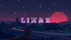 I Party Like A Rockstar Go Girl - Pitbull