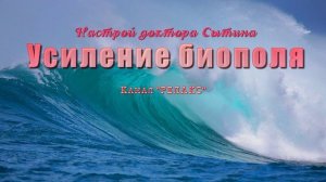 Усиление биополя. Без музыки. Для мужчин и женщин.(Сытин)