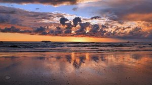 4K Crashing Ocean Waves  Olympic National Park  Peaceful Nature Sounds for Sleep