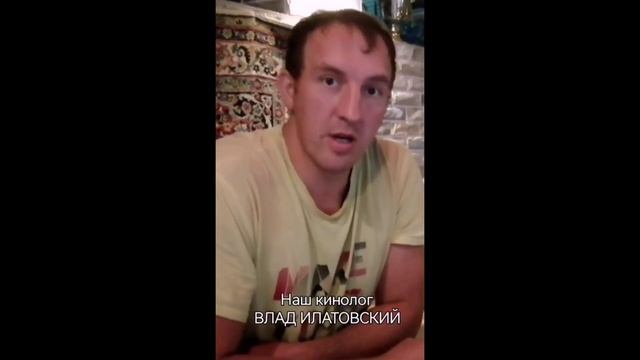 Вопросы от владельцев САО.    выпуск 1