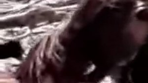 Цунами в японии нашли русалку