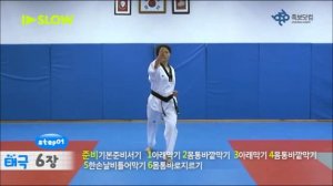 ТХЭКВОНДО ВТФ ФОРМАЛЬНЫЕ КОМПЛЕКСЫ ПХУМСЭ №6 «ТЭГУК ЮК ДЖАН» 3 гып