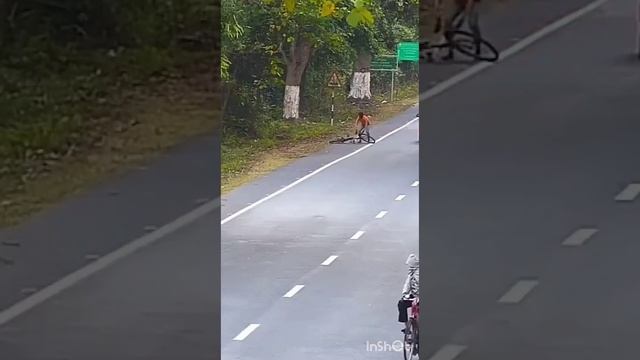 ?Cheetah Attacks a Bicycle man who Rides on Highway?#reels #tiktok #100 #shortvideo #pets #tamil