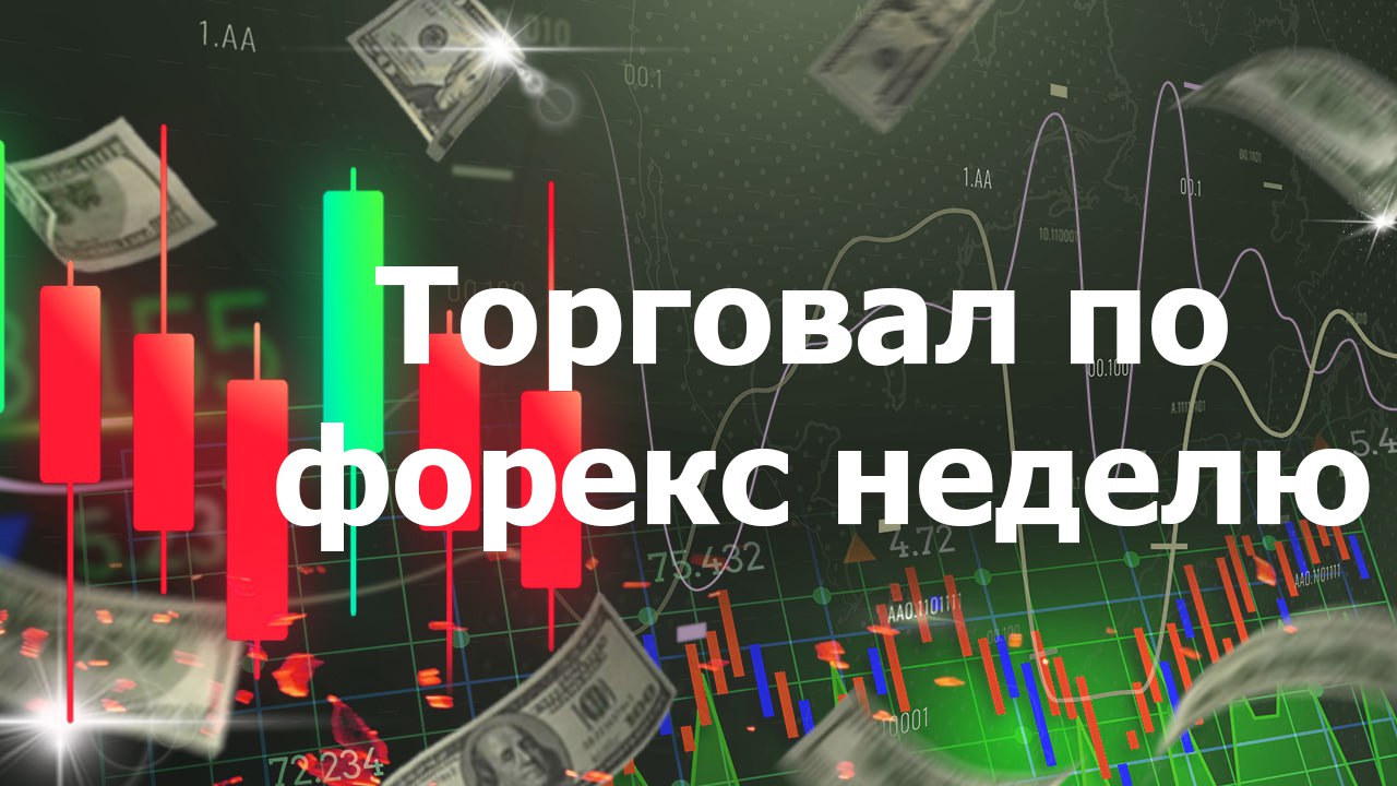 Торговал по форекс неделю