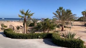 Обзор ПЛЯЖА в Марса Аламе! Всем в отель Fayrouz! Египет февраль 2022 / АРИНА БЕЛАЯ