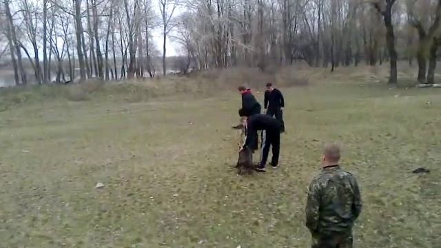 Арес тренировки смотреть онлайн