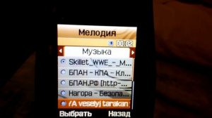 Обзор телефона Samsung SGH-E500