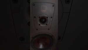RENKFORCE WLA-8200 & DALI CONCEPT 10