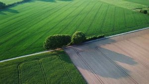 Широка страна моя родная