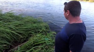 снасть херабуна на реке Днестр ловит карпа / Илья показал мастер класс / устройство херабуны