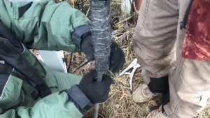 Штыревое заземление в песке. Оцинкованные стержни (Бесплатно и бесполезно)
