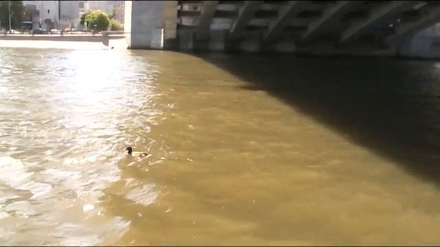 Москва с борта теплохода: Водоотводный канал, остров Балчуг, Болотная набережная