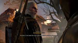 The Witcher 3 - Family Matters: Crow's Nest Fire: Save Stablehand and Horses and Open Gate PS5 4.0