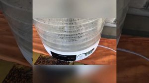 Лук в сушилке. Заготовка лука на зиму. Зелёный лук. Специи в домашних условиях.