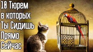 10 тюрем в которых ты отбываешь срок прямо сейчас – Как стать свободным  и независимым человеком