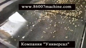 Оборудование для измельчения грецких орехов