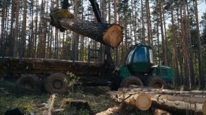 Производство Евровагонки / Как они это делают?