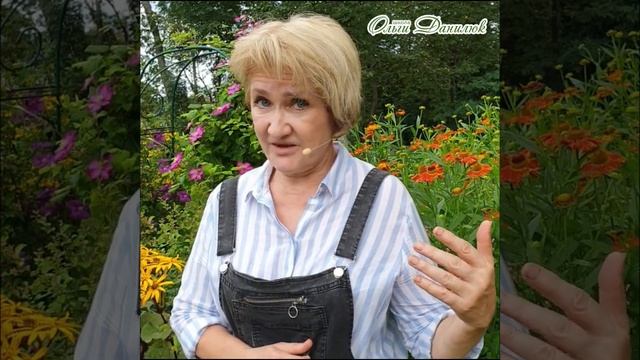 Эрва – гроза циститов и солей в моче смотреть онлайн