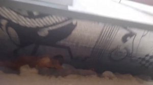 Как убрать шум дождя по отливу