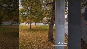 Гирлянда фс-12