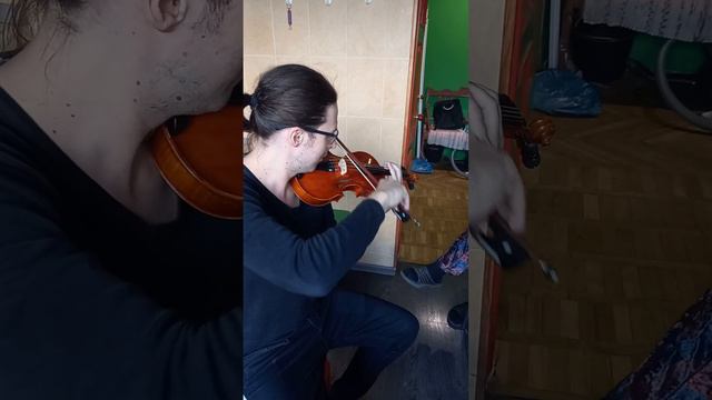 Скрипка мастеровая.