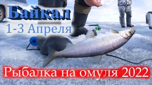 Рыбалка на омуля на Малом море 1-3 апреля. Эхолот Garmin Echomap 92sv UHD датчик GT10HN-IF