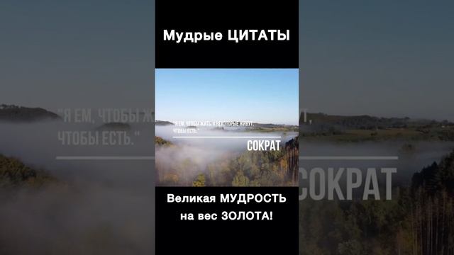 Мудрая Душа - Сократ #афоризмы #мудрость #притчи #цитаты #цитатывеликихлюдей #рекомендации #сократ