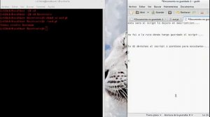 Copilación de script en perl.