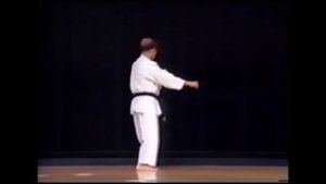 Сёсин Нагаминэ ката Ванкан 1997