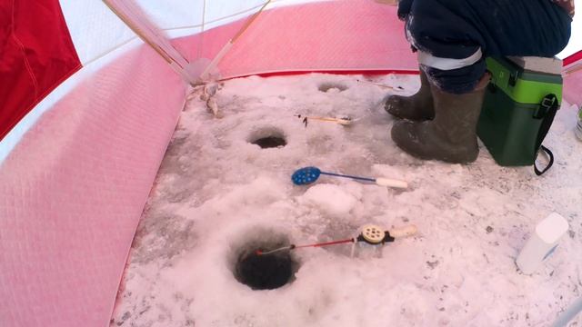 Первый выезд с палаткой медведь куб 4, рыбалка на жерлицы, ловля плотвы и окуня. смотреть онлайн