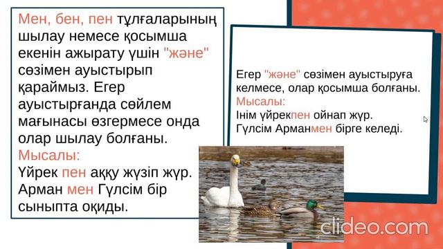 Шылау 7-сынып смотреть онлайн