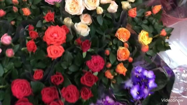 Совместная Закупка Цветов из Голландии.Редкие Цветы у вас дома! смотреть онлайн