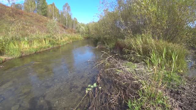 Поход по урочищу Валово смотреть онлайн