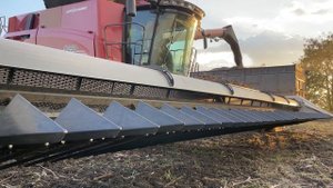 Уборка подсолнуха 2021г. Комбайн CASE IH 9250.